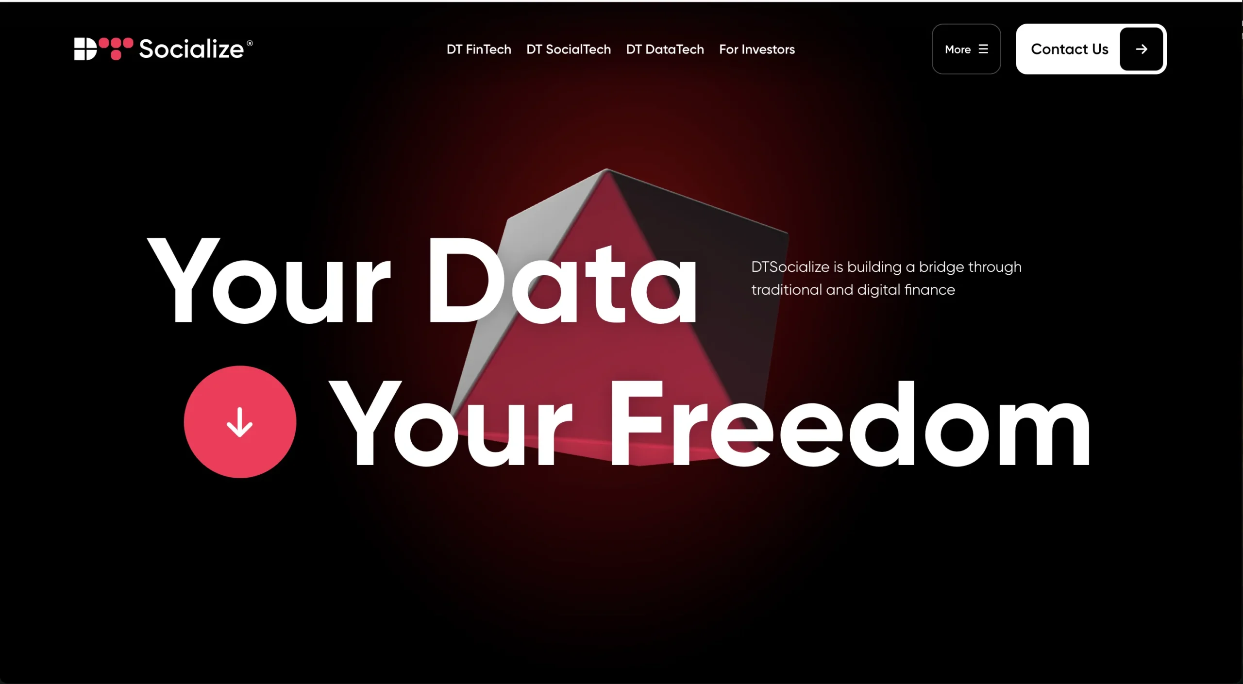 Avis sur DT Socialize: après dtsmoney.com, dtsh.io