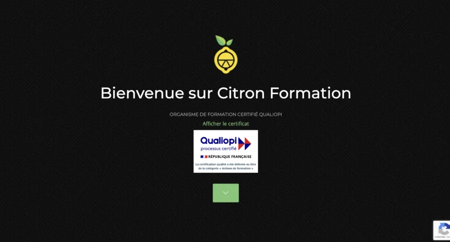 Citron Formation accusée d'arnaque pyramidale