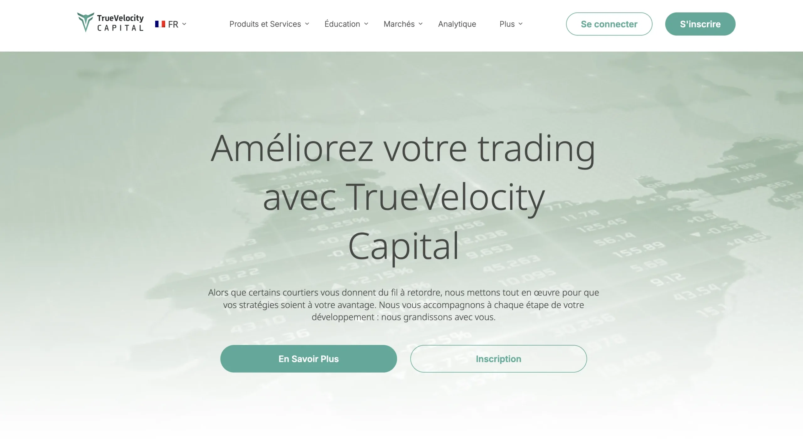 Truevgroup.com