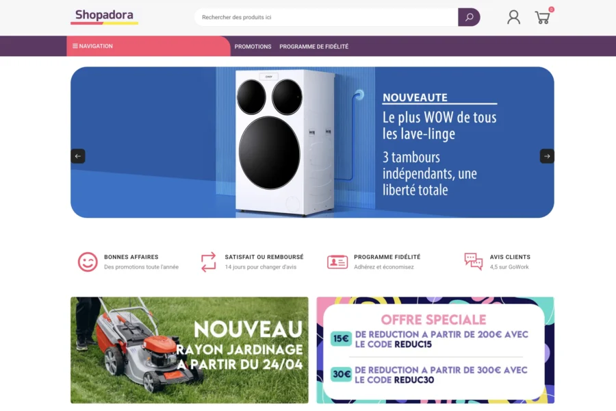 Shopadora.fr et Mael Leger: donnez votre avis!