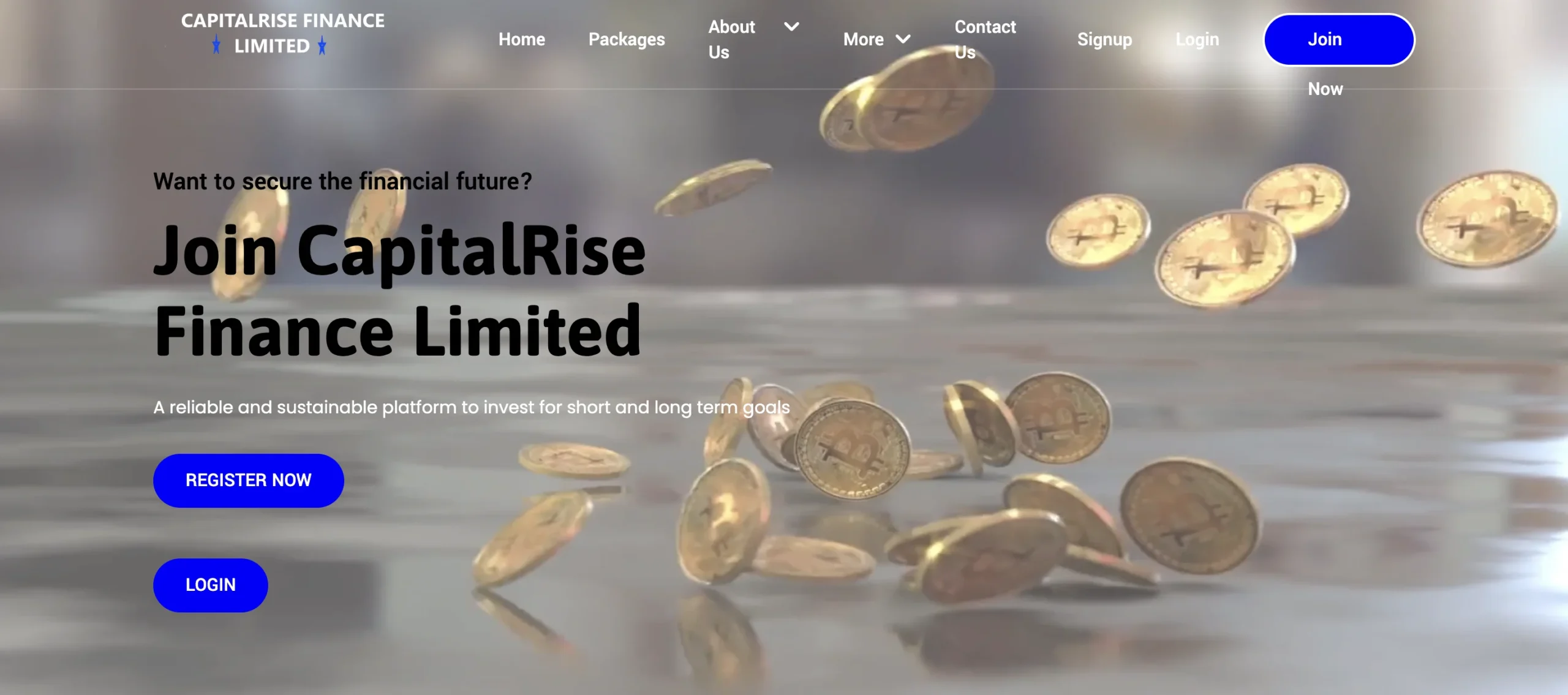 Interface du site CapitalRise Finance Limited avec des pièces d'or en arrière-plan.