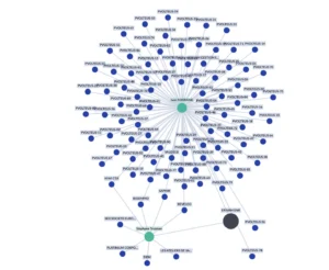 Graphe en réseau montrant des nœuds bleus et verts interconnectés représentant des flux de données.